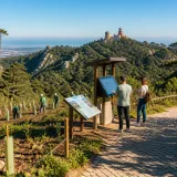 Governo prepara envio do Plano Nacional de Restauro da Natureza a Bruxelas a 1 de setembro
