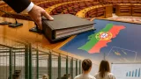 CHEGA pede actualização do diagnóstico e reforço dos centros de recolha de animais