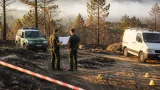 Covilhã: menor detido pela Polícia Judiciária por suspeita de incêndio florestal