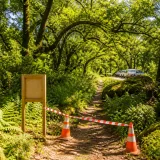Quercus exige mudança de percurso e classifica passagem da Volta no Gerês como ‘precedente grave’