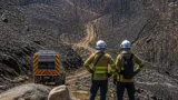 Distrito de Viseu regista 8.172 hectares ardidos até julho, segundo ICNF
