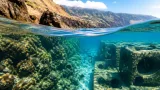 Estudo regional mostra que recifes artificiais ajudam a biodiversidade mas não substituem os naturais
