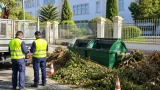 Évora: autarquia identifica responsável por abandono de resíduos de poda junto a contentores