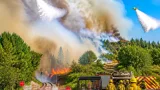 Incêndio em Mangualde mobiliza 175 operacionais e afeta linha da Beira Alta