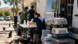 Loulé lança programa CED para controlar colónias de gatos e prepara centro em Benafim