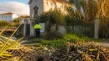 Moradores das Barrocas reclamam limpeza urgente de vegetação que avança sobre casas