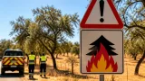 Portalegre em alerta: concelhos do distrito incluídos no perigo máximo de incêndio