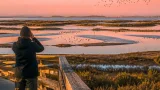 Reserva Natural do Estuário do Tejo: 14 mil hectares que salvaguardam uma das maiores zonas húmidas da Europa