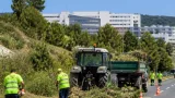 Setúbal reforça desmatações para reduzir risco de incêndios e melhorar segurança viária