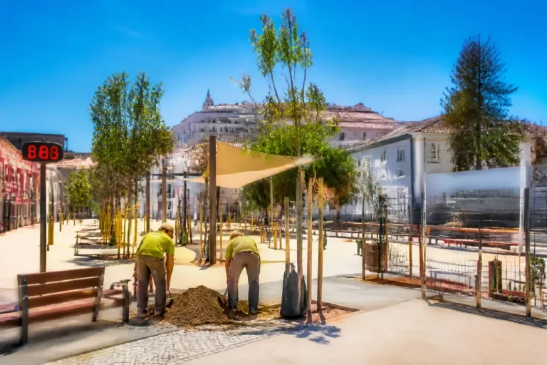 Beja anuncia refúgio climático com investimento de 2,5 milhões para enfrentar o calor extremo