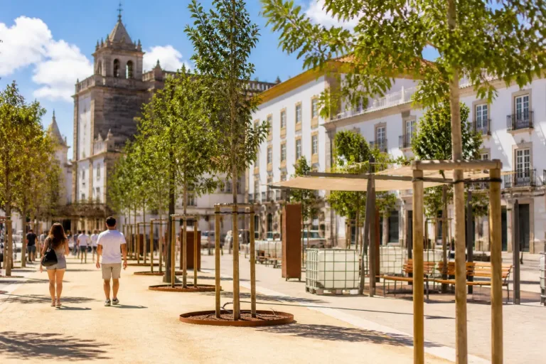 Floresta Nómada vai dar sombra e futuro ao Rossio de São Brás muito além de 2027