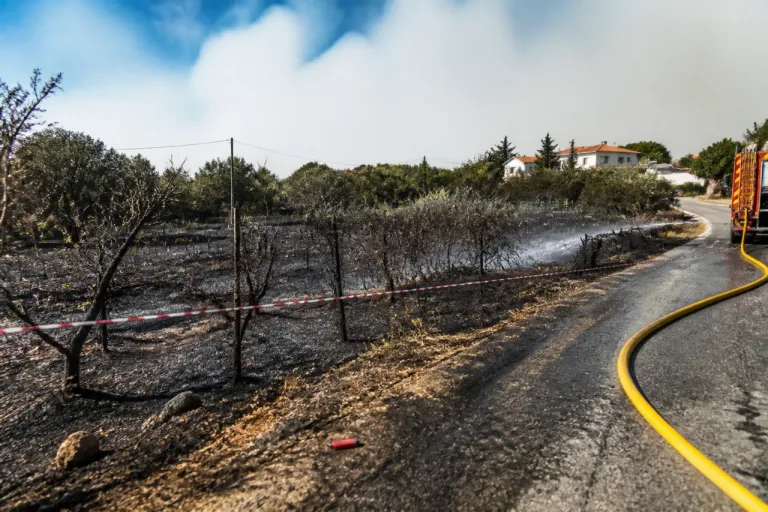 Detido em Vila Real suspeito de atear fogo que consumiu culturas e ameaçou casas
