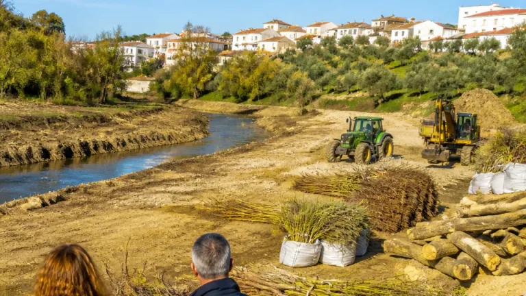 Abrantes: intervenção na Ribeira do Alcolobre gera debate sobre obras e repovoamento ripícola