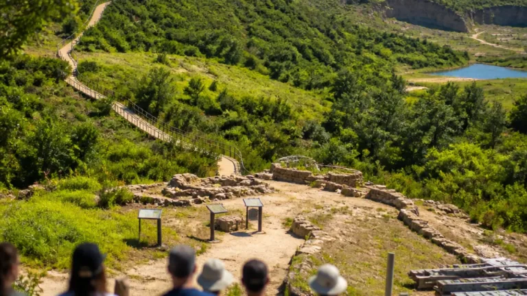 Albergaria-a-Velha recebe projeto de valorização arqueológica com apoio de 165 000 €
