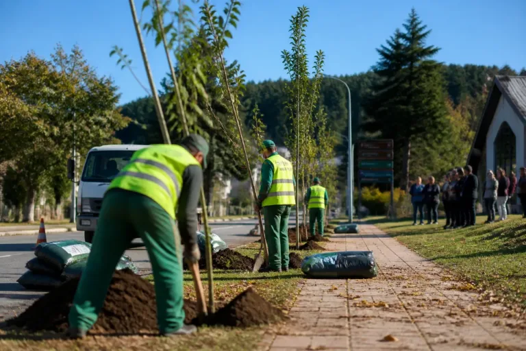 CPFL/RGE planta 550 árvores nativas em Gramado na primeira fase de um programa de arborização