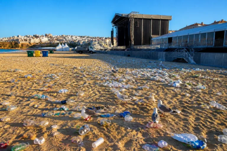 Estudo do MARE mostra que limpezas pós‑festivais não impedem acumulação de lixo na costa