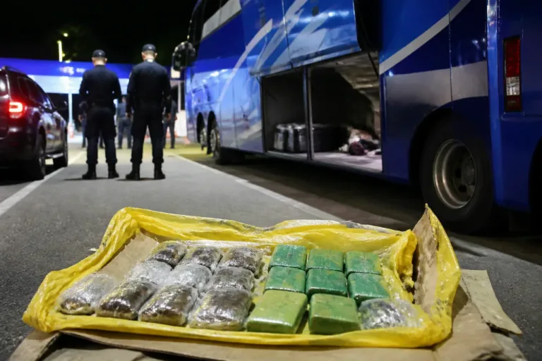 Apreensão de droga na BR-163 envolve encomenda em ônibus com destino a Novo Progresso e ocorreu em Santarém