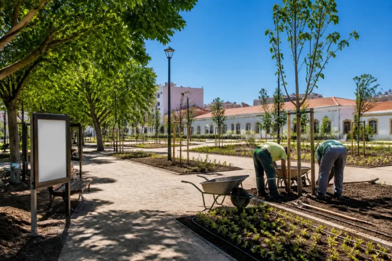 Beja avança com Abrigos Climáticos para melhorar conforto térmico e espaços verdes até 2028