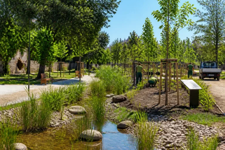 Beja avança com refúgio climático e renaturalização do Jardim Público até 2028