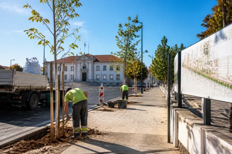 Beja lança projeto de restauro ecológico com mais de dois milhões para reduzir ilhas de calor