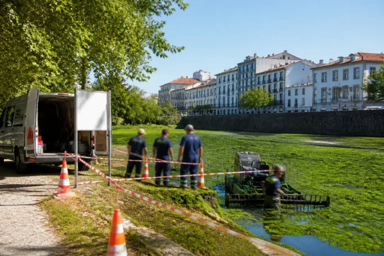 Câmara de Viseu adjudica limpeza do rio Pavia com início previsto dentro de duas semanas