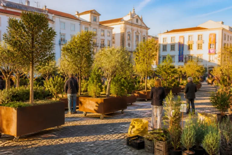 Évora cria 'Floresta Nómada' no Rossio de São Brás com mil árvores e legado ambiental