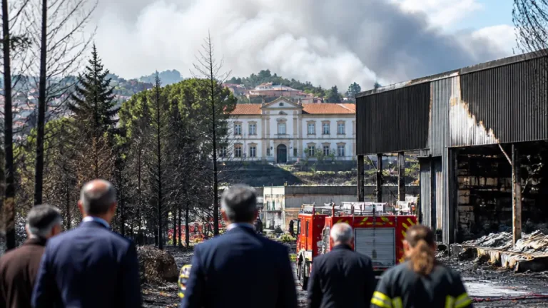Deputados do PSD visitam zonas ardidas em Viseu e apelam a apoios para recuperar territórios