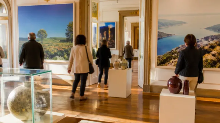 Exposição na Pousada de Viseu reúne fotografia e cerâmica para refletir sobre a natureza