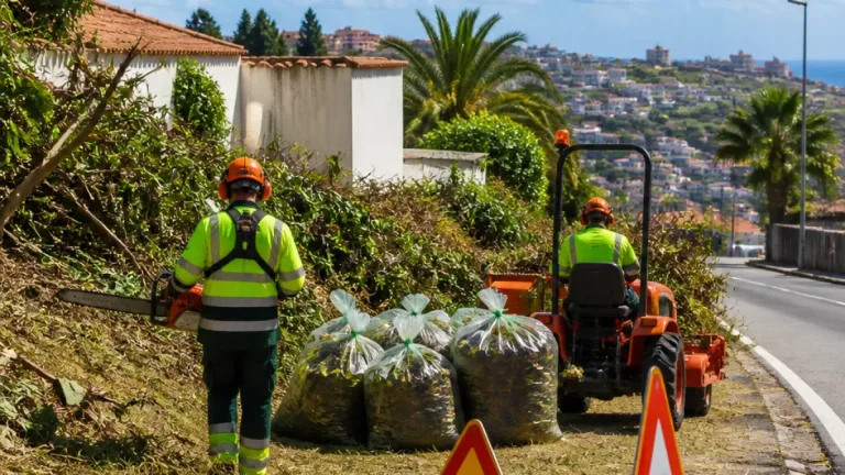 Funchal reforça limpeza de terrenos municipais para reduzir risco de incêndios