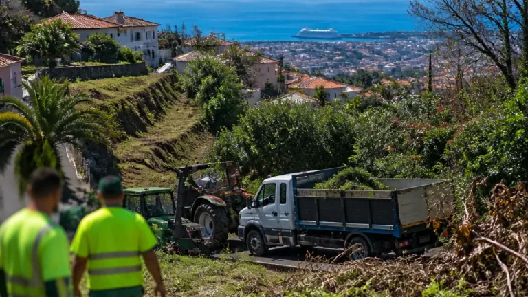Funchal reforça prevenção de incêndios após limpeza de 30 mil m² em terrenos municipais