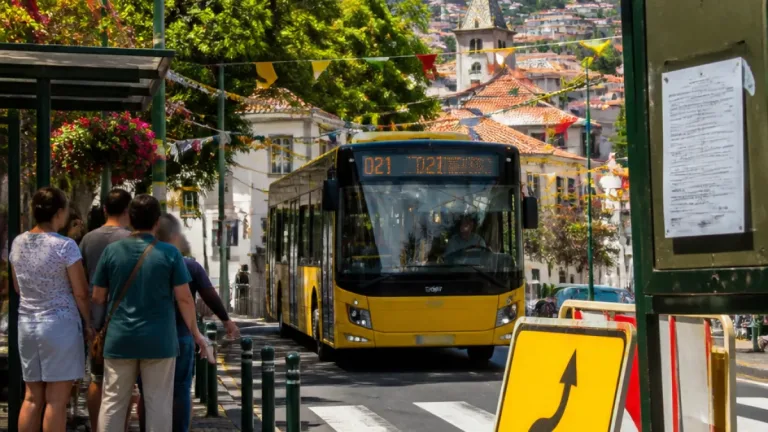Horários do Funchal reforça carreira para o Monte durante festa e ajusta percursos temporários
