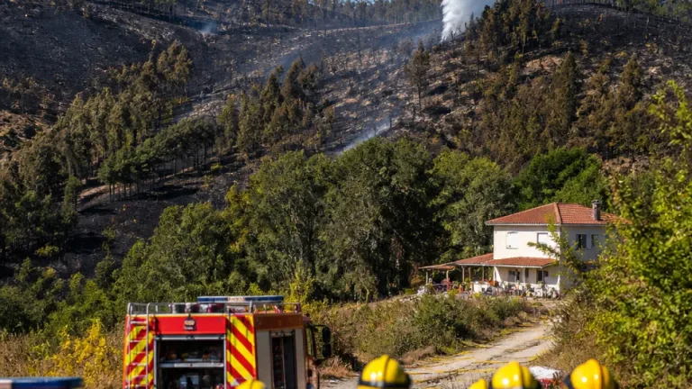 Incêndio em Pombal consome 24 hectares e mobiliza 147 operacionais