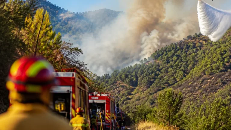 Incêndio originado em Valpaços mantém frente ativa entre Mirandela e Vinhais