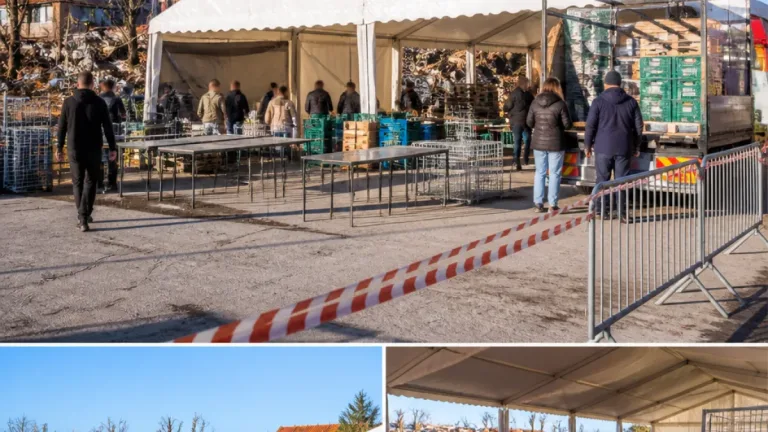 Mercado da Marinha Grande volta a funcionar em tenda provisória até final de agosto