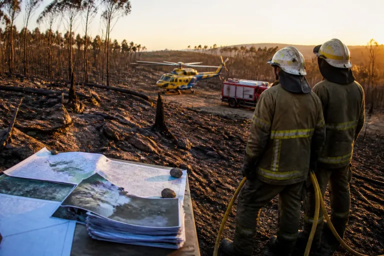 Incêndios em Portugal: o ciclo anual de surpresa e promessas que não travam as chamas