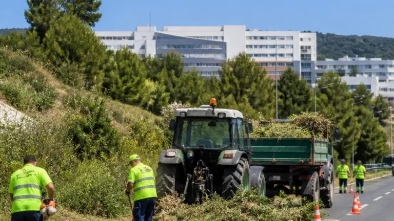 Setúbal reforça desmatações para reduzir risco de incêndios e melhorar segurança viária