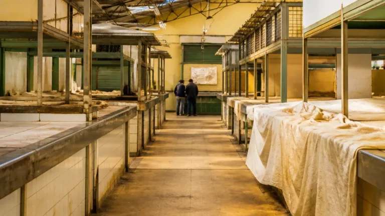 Torres Novas: Mercado Municipal perde vitalidade e requalificação fica fora do orçamento