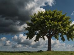 Ecologia: descubra o «greenhushing», o oposto do greenwashing ! Ecologia: descubra o "greenhushing", o oposto do greenwashing !